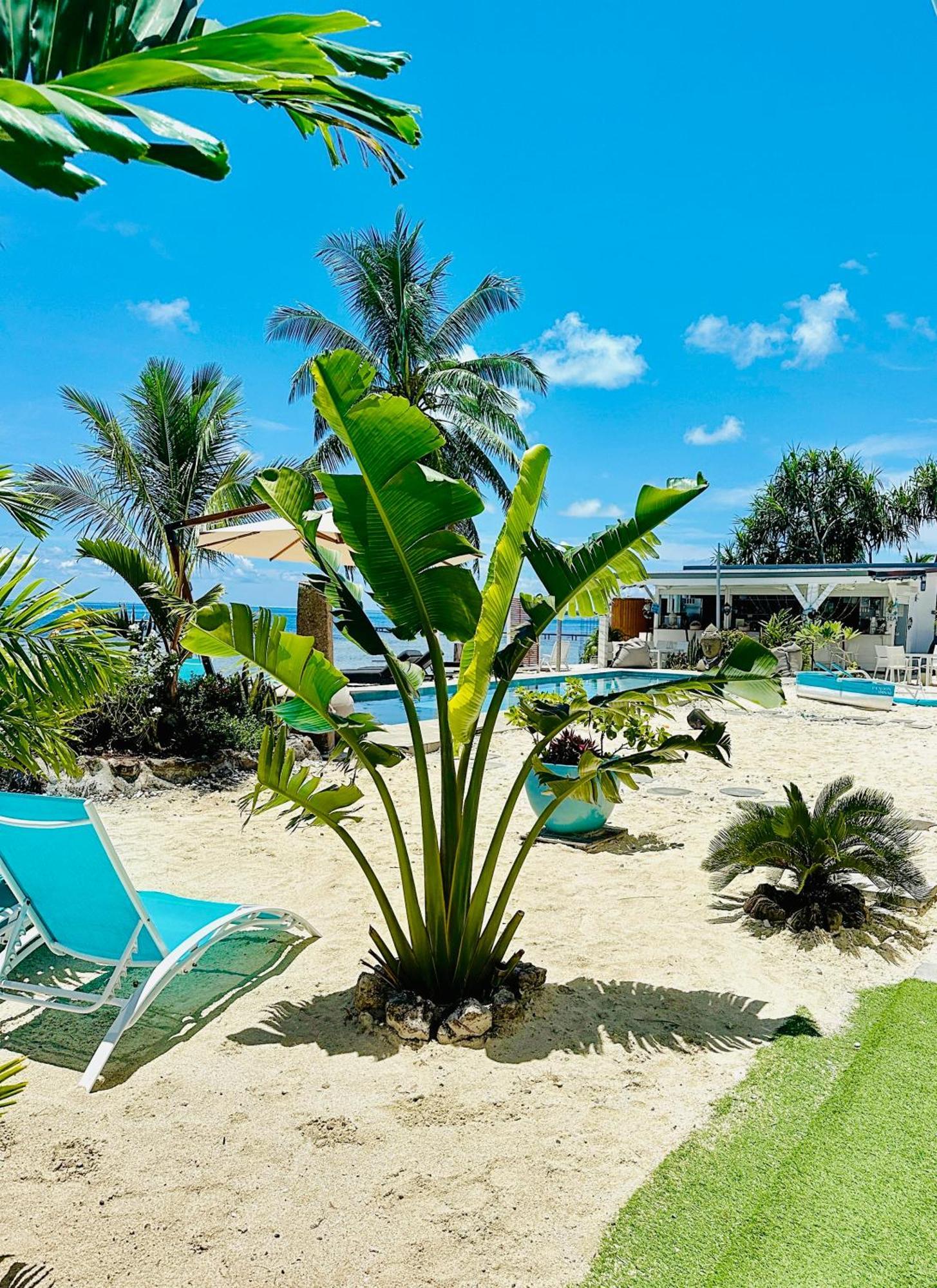 Pension Irivai Appartement Puatou 1 Chambre Bord De Mer Утуроа Экстерьер фото
